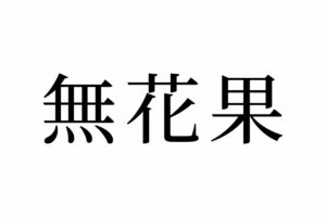 【読めたらスゴイ！】「無花果」って何のこと！？スーパーでよく見かけるあの果物だった！この漢字、あなたは読めますか？