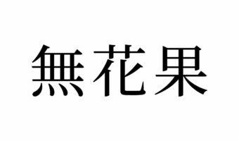【読めたらスゴイ!】「無花果」って何のこと!?スーパーでよく見かけるあの果物だった!この漢字、あなたは読めますか?