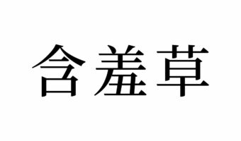 【読めたらスゴイ!】「含羞草」って何のこと!?とっても奇妙な動きをする植物!??この漢字、あなたは読めますか?