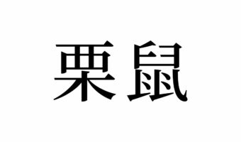 【読めたらスゴイ!】「栗鼠」って一体何のこと!?栗との関係は!?この漢字、あなたは読めますか?
