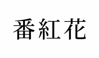 【読めたらスゴイ!】「番紅花」って何のこと!?聞いたことあるハズ!この漢字、あなたは読めますか?
