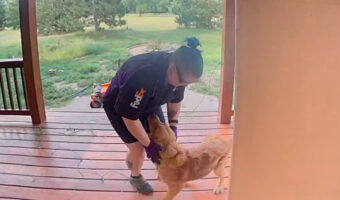 ゴールデンレトリバーの子犬は配達員さんを大歓迎!遊んでもらって嬉しそう!!【アメリカ・動画】