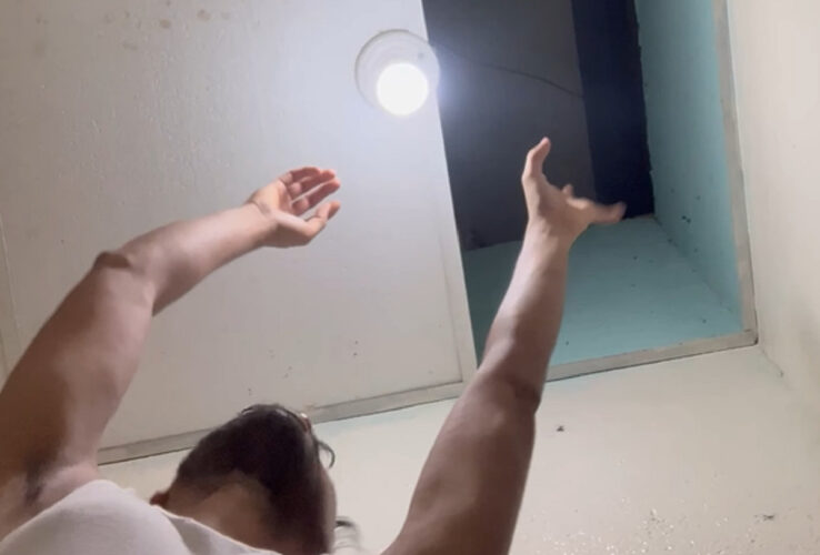 天井裏に入り込んだ猫。どうにか出てきてもらおうとしたら・・まさかの場所から出てきました！！【海外・動画】