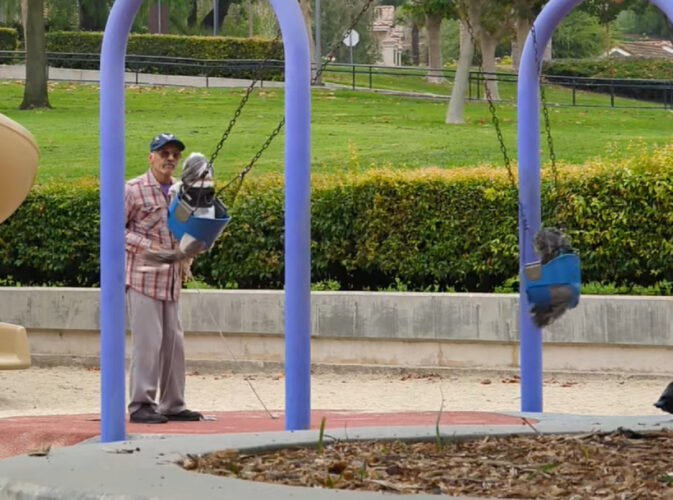 ブランコで遊んでいるのは・・犬たち！？飼い主さんに揺らしてもらって楽しそう！【アメリカ・動画】