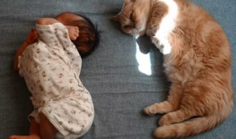 『えび反りと猫背』寄り添ってお昼寝する赤ちゃんと愛猫が可愛すぎる!「同じくらいの大きさですね」