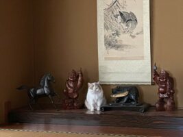 いい感じに一匹まじっている猫が面白い！「一匹だけ、ぽてぽて感が可愛すぎる」「御利益ありそう」