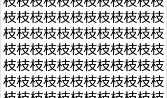 【脳トレ】「枝」の中に紛れて1つ違う文字がある!?あなたは何秒で探し出せるかな??【違う文字を探せ!】