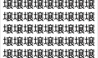 【脳トレ】「壌」の中に紛れて1つ違う文字がある！？あなたは何秒で探し出せるかな？？【違う文字を探せ！】