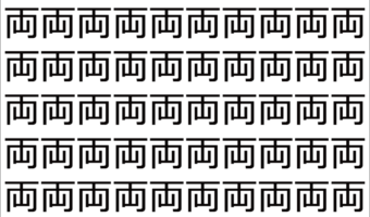 【脳トレ】「両」の中に紛れて1つ違う文字がある!?あなたは何秒で探し出せるかな??【違う文字を探せ!】