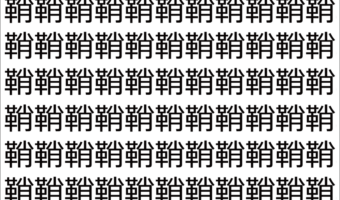 【脳トレ】「鞘」の中に紛れて1つ違う文字がある!?あなたは何秒で探し出せるかな??【違う文字を探せ!】