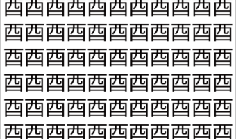 【脳トレ】「酉」の中に紛れて1つ違う文字がある!?あなたは何秒で探し出せるかな??【違う文字を探せ!】
