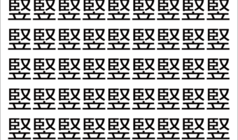 【脳トレ】「竪」の中に紛れて1つ違う文字がある！？あなたは何秒で探し出せるかな？？【違う文字を探せ！】