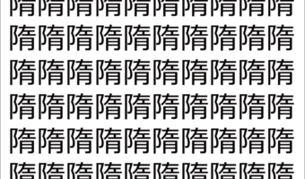 【脳トレ】「隋」の中に紛れて1つ違う文字がある!?あなたは何秒で探し出せるかな??【違う文字を探せ!】