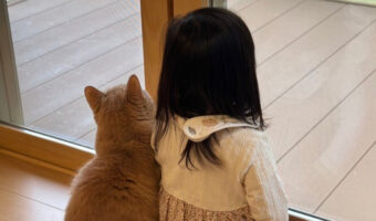 最高にかわいい光景！癒し効果が凄い後ろ姿に注目！