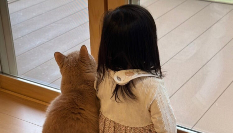 最高にかわいい光景！癒し効果が凄い後ろ姿に注目！