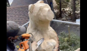 チェーンソーで木を削っていく男性。瞬く間に『ある動物』の巨大彫刻が完成！！【アメリカ・動画】
