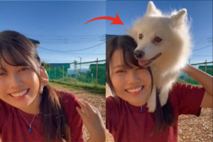 肩に飛び乗る日本スピッツがかわいすぎると大評判！「絵になるコンビですね！」「いつも癒やされてます」