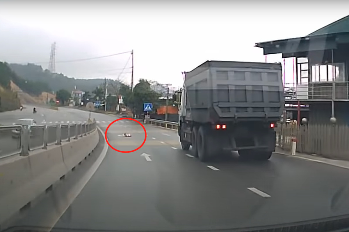 まさか信じられない!道路を何かが横切ろうとしている?停車しその正体を確認するとそこには・・!!【海外・動画】