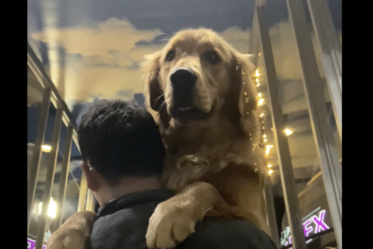 飼い主さんにギュッ！！エスカレーターが怖くてだっこしてもらっている愛犬がかわいい！！