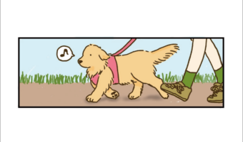 お散歩中のアイコンタクト。ゴールデンレトリバーとのお散歩あるあるを描いた漫画に大反響！！
