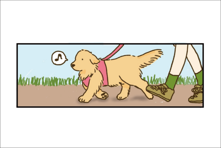 お散歩中のアイコンタクト。ゴールデンレトリバーとのお散歩あるあるを描いた漫画に大反響！！
