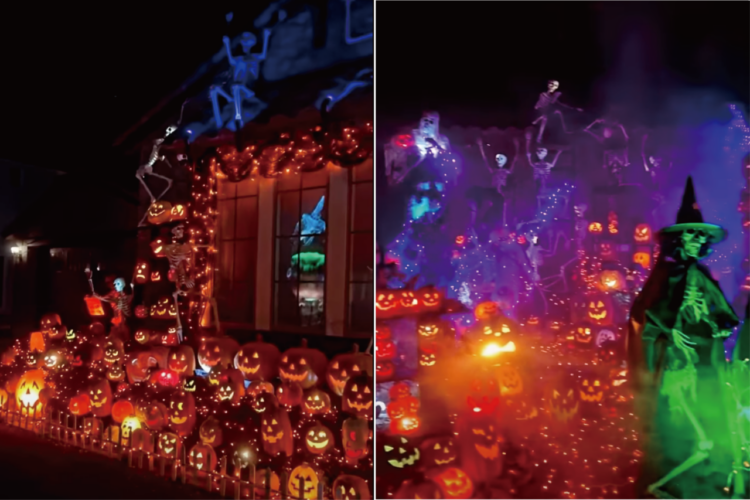 本当に個人宅なの！？ハロウィンディスプレイのクオリティが高すぎる！！【アメリカ・動画】