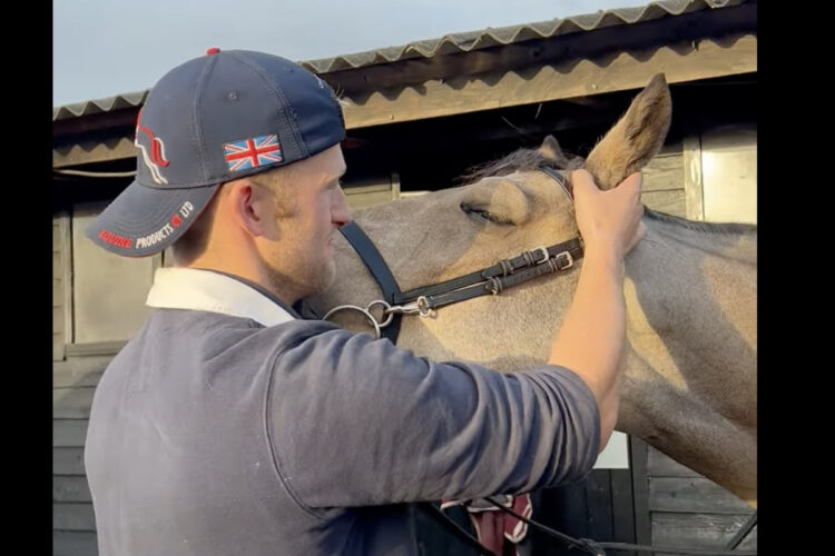 馬のチルタイム。耳元マッサージが気持ちよくてうっとり目を瞑っています