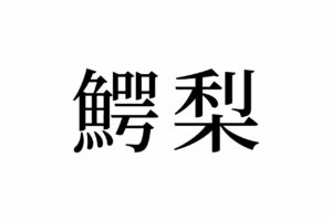 【読めたらスゴイ！】「鰐梨」って何のこと！？フルーツ！？栄養たっぷりアレのことだったんです。この漢字、あなたは読めますか？
