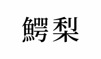【読めたらスゴイ！】「鰐梨」って何のこと！？フルーツ！？栄養たっぷりアレのことだったんです。この漢字、あなたは読めますか？
