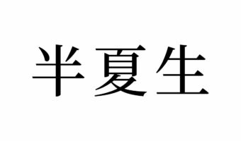 【読めたらスゴイ！】「半夏生」とは何のこと！？ハンカセイと読みたくなりますが・・この言葉、あなたは読めますか？