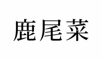 【読めたらスゴイ！】「鹿尾菜」とは何のこと？栄養豊富なあの海藻です！！この漢字、あなたは読めますか？