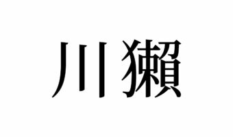 【読めたらスゴイ！】「川獺」とは何のこと！？「川」に関係ある！？この漢字、あなたは読めますか？