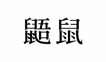 【読めたらスゴイ!】「鼯鼠」とは一体何と読む!?かわいいと評判の高いあの動物ですよ!この漢字、あなたは読めますか?