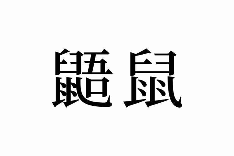 【読めたらスゴイ！】「鼯鼠」とは一体何と読む！？かわいいと評判の高いあの動物ですよ！この漢字、あなたは読めますか？