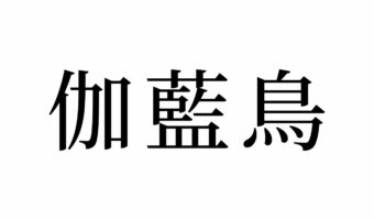【読めたらスゴイ!】「伽藍鳥」とは一体何のこと!?大きな体に大きなクチバシが特徴です。この漢字、あなたは読めますか?