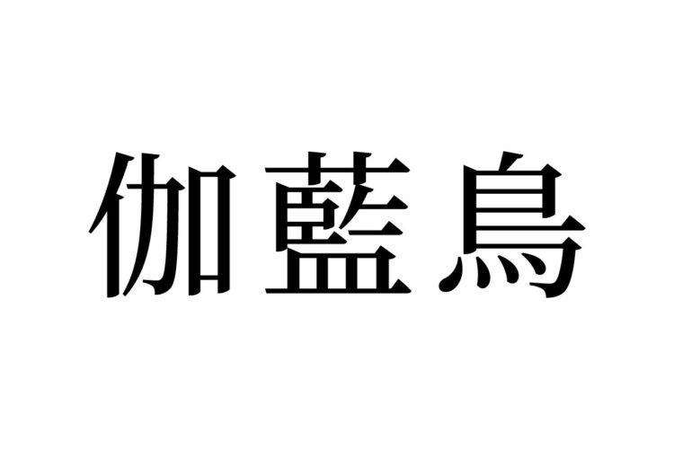 【読めたらスゴイ！】「伽藍鳥」とは一体何のこと！？大きな体に大きなクチバシが特徴です。この漢字、あなたは読めますか？
