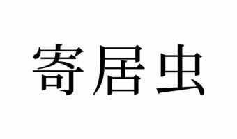 【読めたらスゴイ!】「寄居虫」ってどんな虫!?実はムシの名前ではないんです!この漢字、あなたは読めますか?
