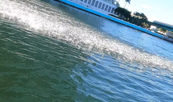 海中から何かが接近してくる!パドリング中に接近してきたのは巨大水棲生物・・ではなく!!【アメリカ・動画】