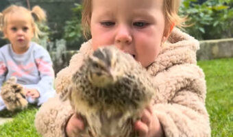 赤ちゃんがヒヨコを優しくだっこ！動いたからビックリして手を離しちゃったけど・・ふたりはお友達になれるかな？？