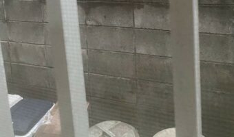 一体何が起きたのか!?ブロック塀の上に猫好きが歓喜する奇跡の光景が!!