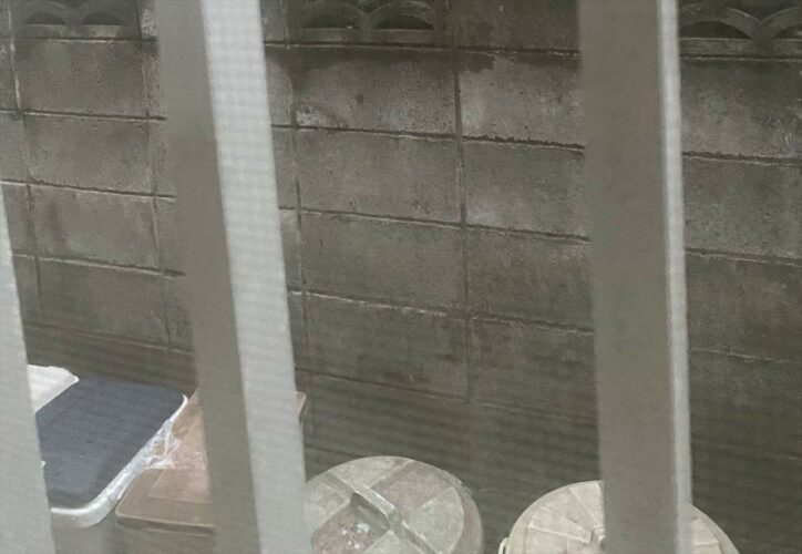 一体何が起きたのか！？ブロック塀の上に猫好きが歓喜する奇跡の光景が！！