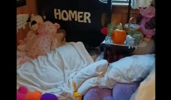 呼んでも起きてこない家族。そこで部屋まで起こしにいくと・・ベッドにいたのはまさかのブタ!?【アメリカ・動画】