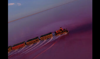 海列車は実在した!?ピンクの水面を列車を走る姿が幻想的!!【海外・動画】