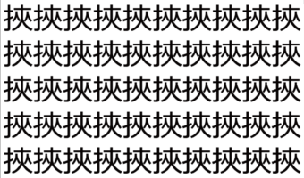 【脳トレ】「挾」の中に紛れて1つ違う文字がある!?あなたは何秒で探し出せるかな??【違う文字を探せ!】