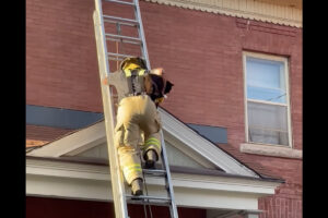 猫は小脇に抱えられるのが嫌だった？救助中、ハシゴからおりている途中でジャンプ！！【海外・動画】