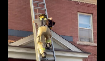 猫は小脇に抱えられるのが嫌だった？救助中、ハシゴからおりている途中でジャンプ！！【海外・動画】
