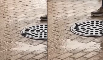 雨が降る中、マンホールの蓋の穴から小さな手が出現!!中から助けを求める手の主の運命は?