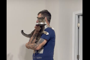 これならごはんを安心して食べられるね！猫は飼い主さんにだっこしてもらいながら食事中！！【アメリカ・動画】