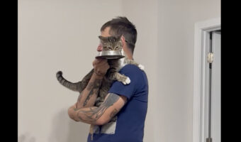 これならごはんを安心して食べられるね！猫は飼い主さんにだっこしてもらいながら食事中！！【アメリカ・動画】