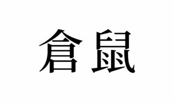 【読めたらスゴイ!】「倉鼠」とは一体何のこと!?ペットとしても大人気!?この漢字、あなたは読めますか?